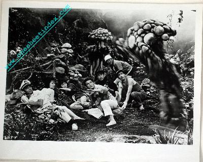 Attack of the Mushroom People