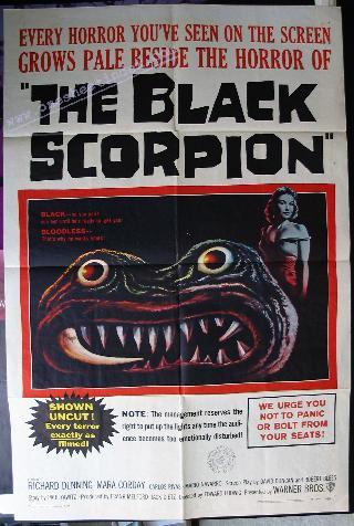 The Black Scorpion