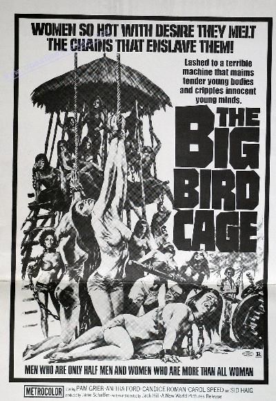 Big Bird Cage