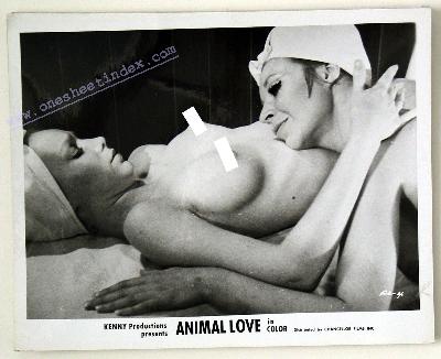 Animal Love